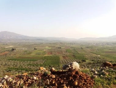 Κορινθία: Φύτεψαν 400 δέντρα και τους τα έφαγαν κατσίκια! - Απίστευτο! (φωτό)